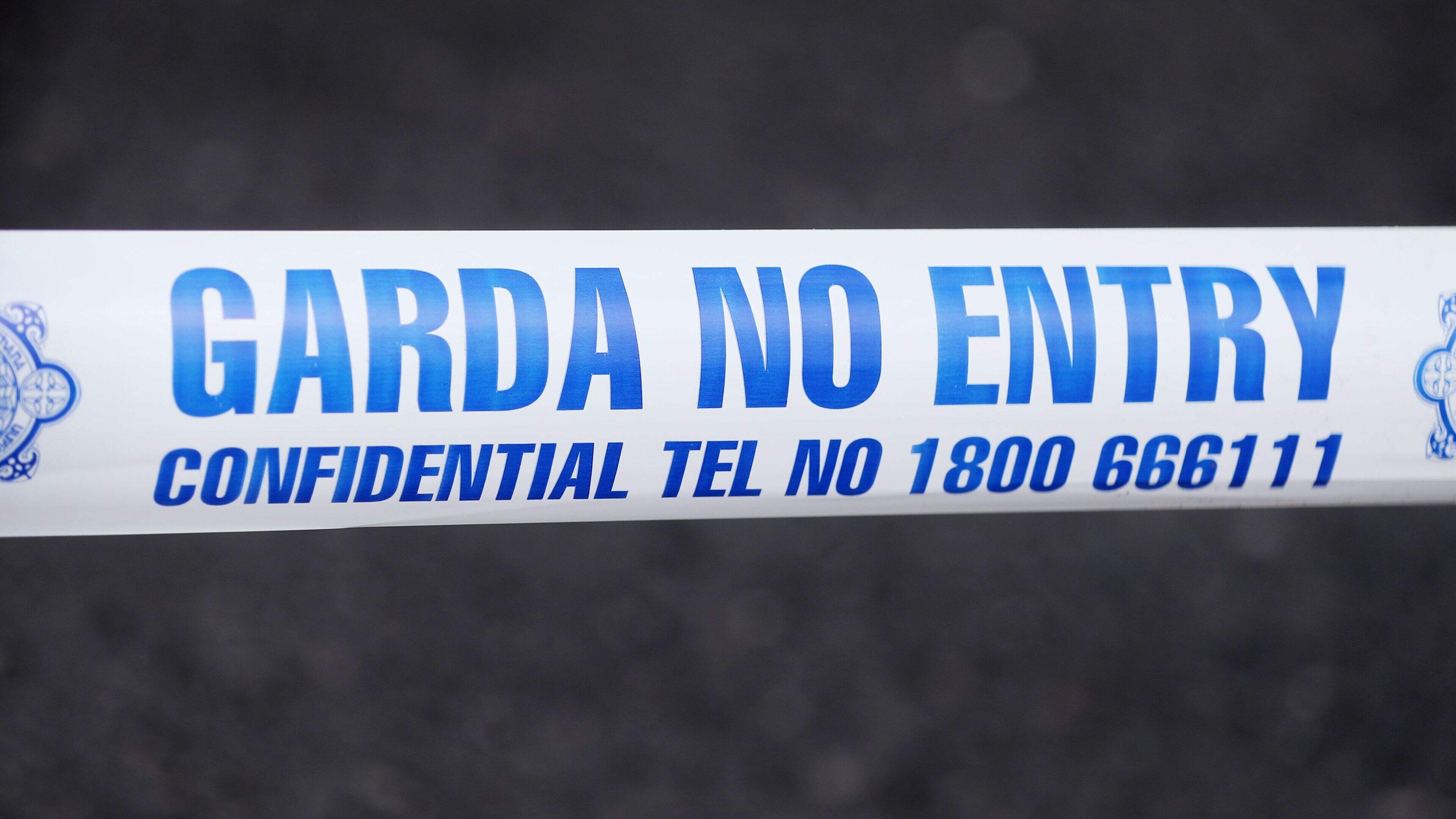 Suspect arrested by armed gardaí after woman stabbed and another injured in attack at Dublin house